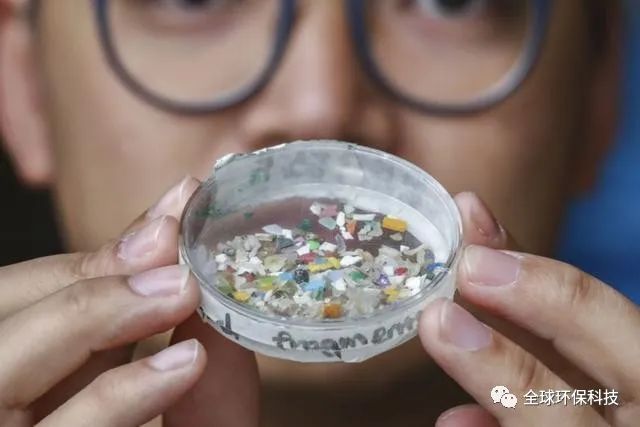 關(guān)于“微塑料”的危害，你了解多少？